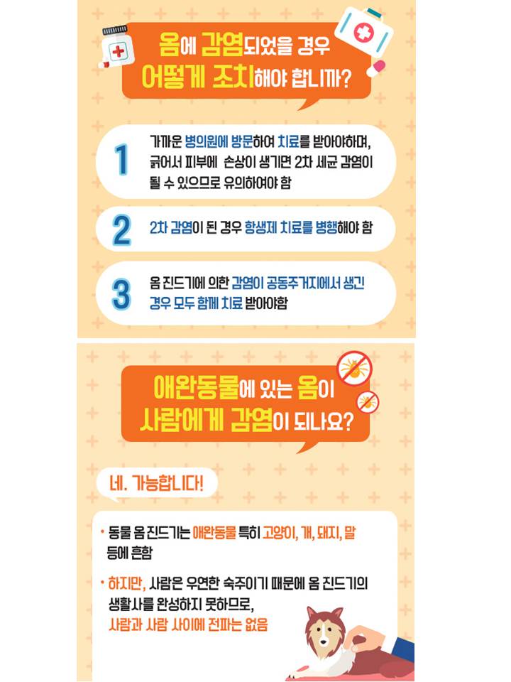 슬라이드3.JPG