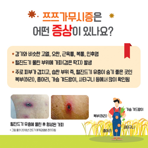 181008 쯔쯔가무시증 예방법(5).jpg